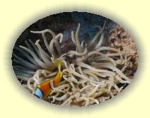 IMG_2007_05_27 18_10_30 * 2272 x 1704 * (474KB)